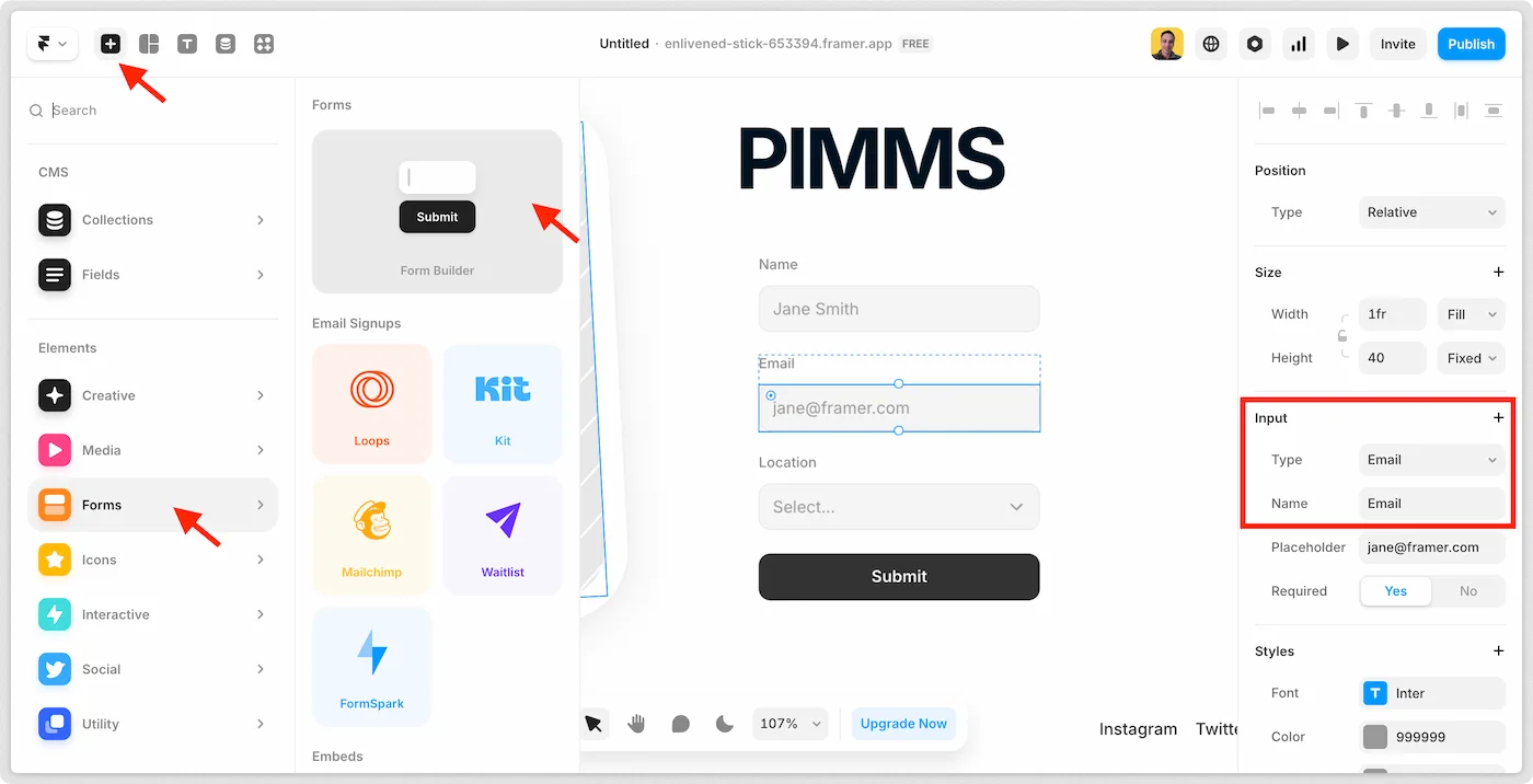 Framer form field Name