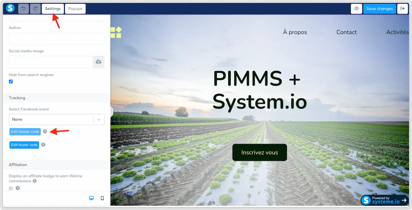 Paste PiMMs script in footer settings
