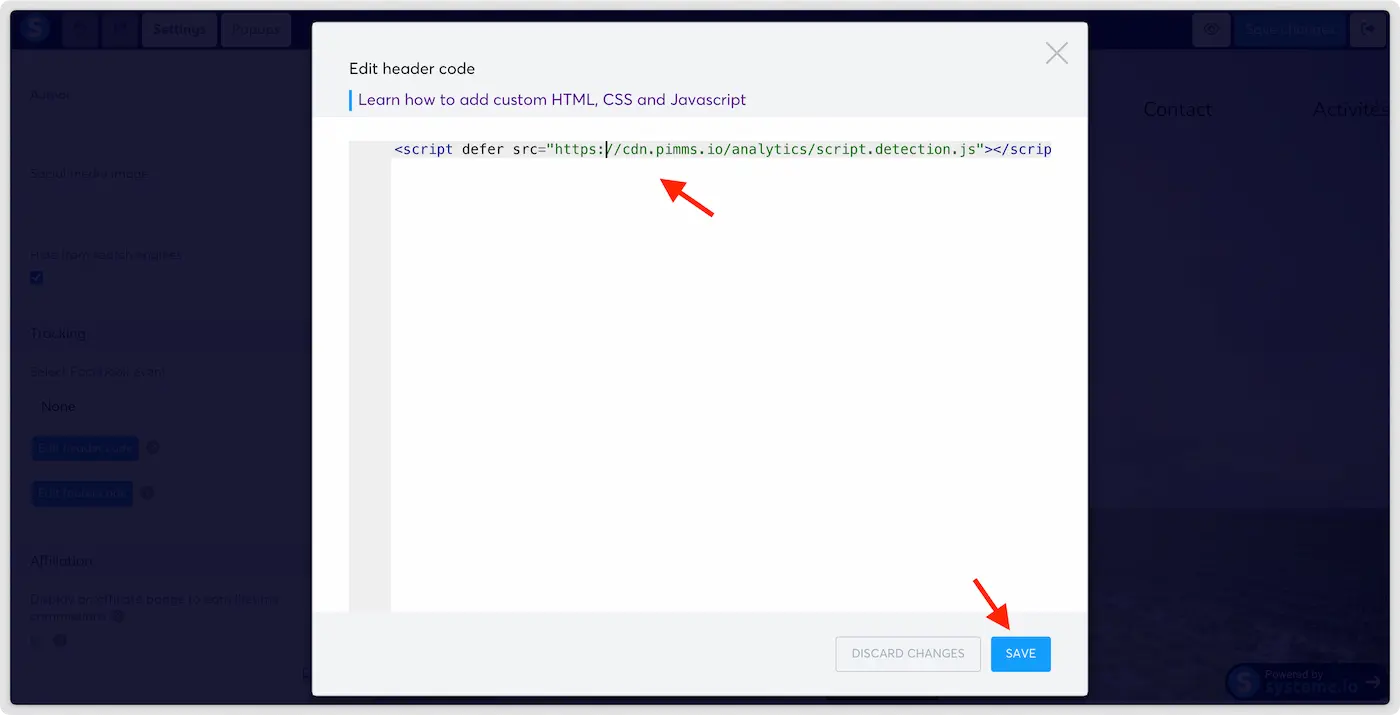 Paste PiMMs script in footer settings